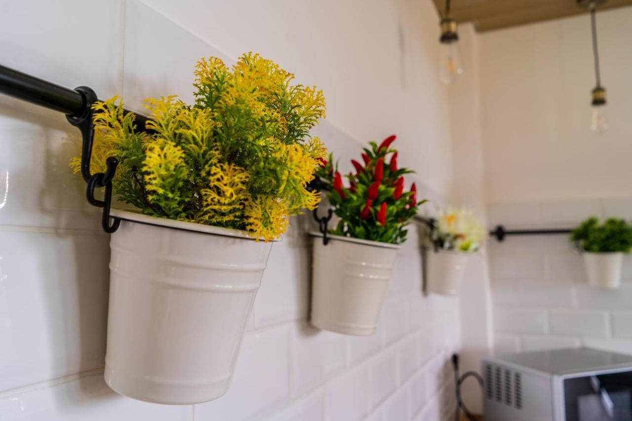 Villetta Gallo B&B Casa Vacanze Humanitas Catania Centro Sicilia Clinica Humanitas Misterbianco Ngoại thất bức ảnh
